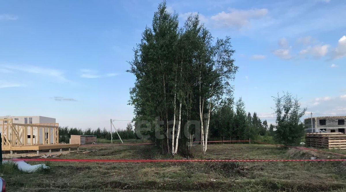 земля р-н Всеволожский г Всеволожск ул Ильинская 38 фото 4