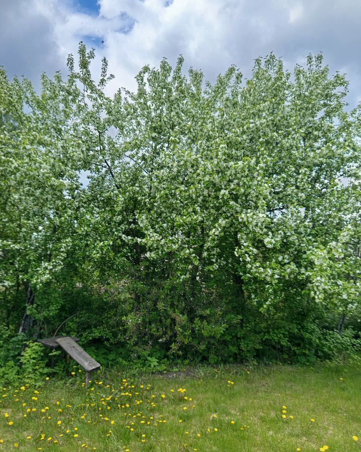 дом р-н Городецкий г Городец Сливовая ул, садоводческое товарищество, Волга фото 23