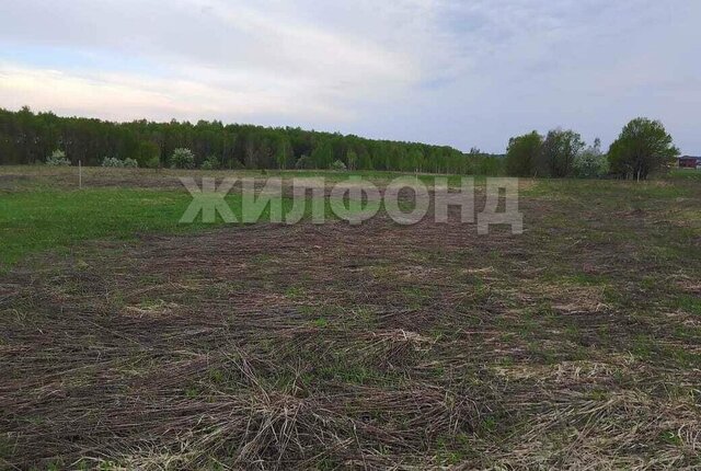 земля улица Александра Миненко фото