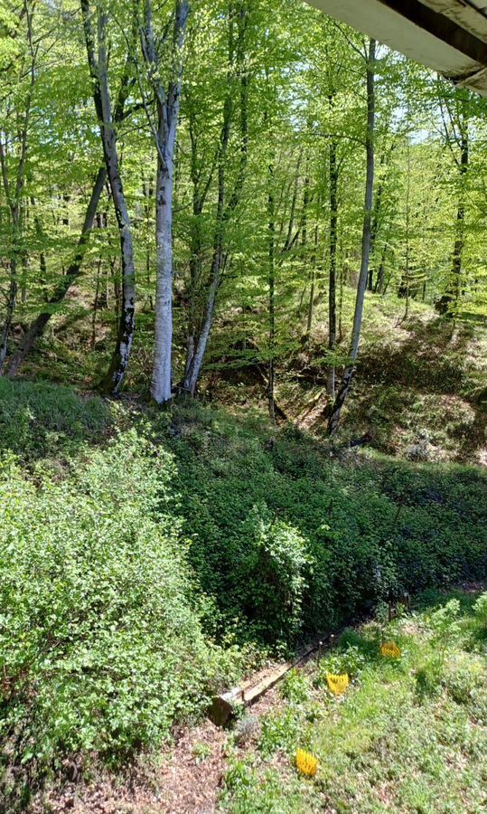 квартира г Сочи р-н Хостинский с Раздольное ул Механизаторов 70 фото 15