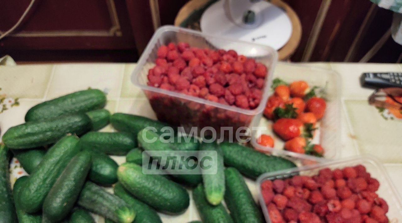 дом г Сургут Искра СТ, ул. Въездная, 3 фото 16