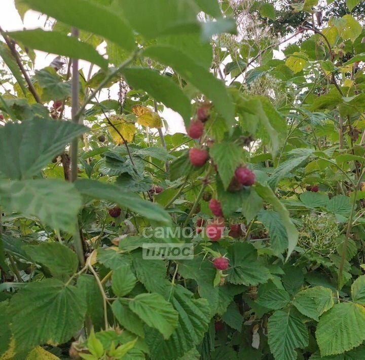 дом г Сургут Искра СТ, ул. Въездная, 3 фото 19