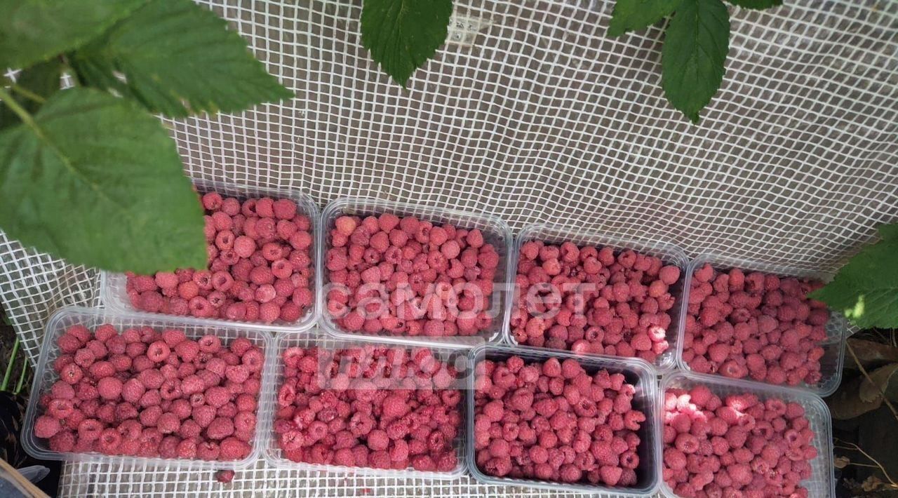 дом г Сургут Искра СТ, ул. Въездная, 3 фото 30