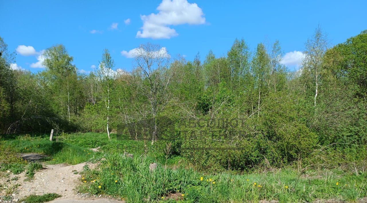 офис г Великий Новгород фото 3