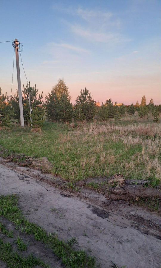 земля г Курган п Левашово фото 3