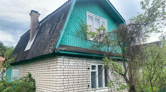 Облепиха СНТ, 125 фото