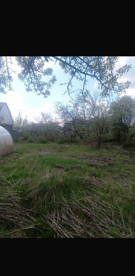 земля г Брянск рп Радица-Крыловка Бежицкий район тер СО Рассвет 450 фото 1