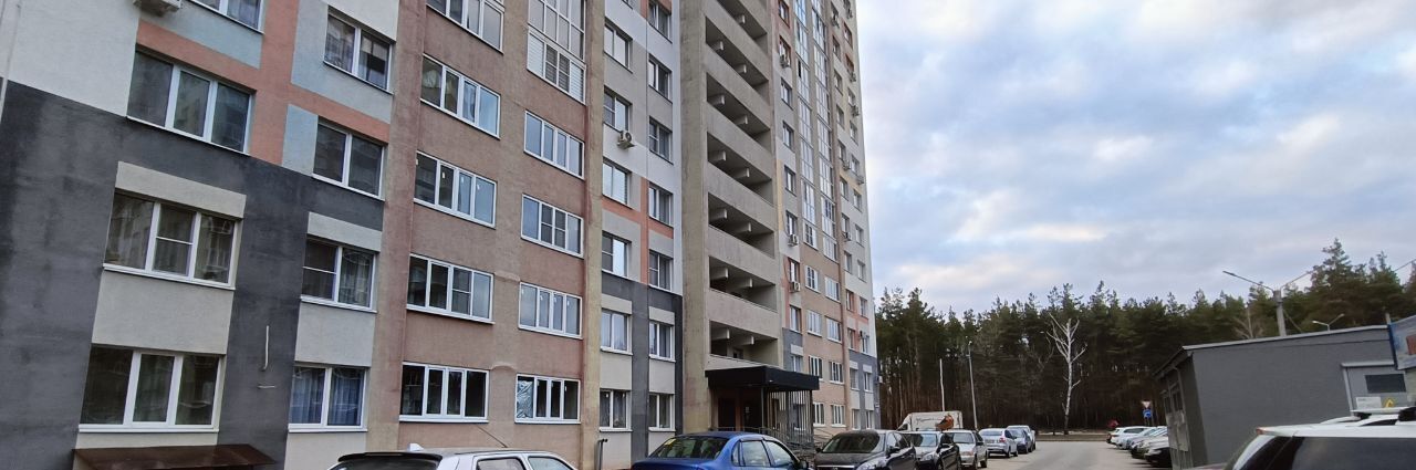квартира г Воронеж р-н Железнодорожный ул Федора Тютчева 93/1 Боровое фото 12