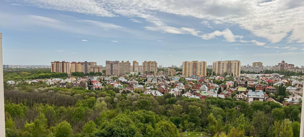 квартира г Воронеж р-н Центральный б-р Олимпийский 14 фото 3
