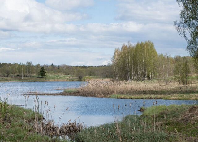 122 км, Уваровка, Минское шоссе, д. Мокрое фото