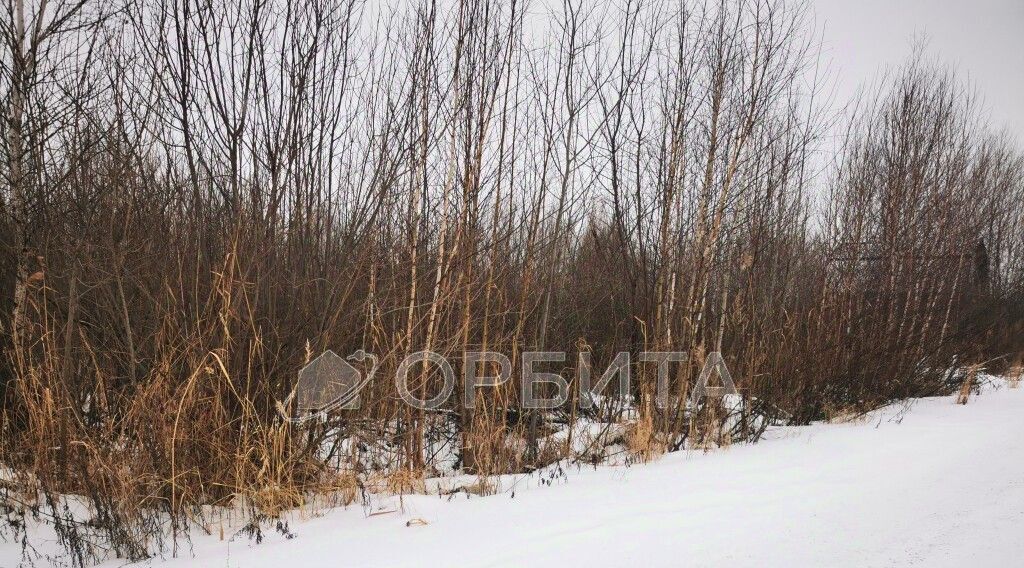 земля г Тюмень р-н Центральный СОСН Березка-3 тер., ул. 15-я фото 4