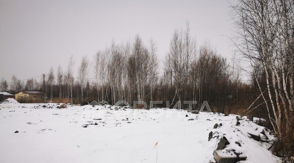 земля г Тюмень р-н Центральный СОСН Березка-3 тер., ул. 15-я фото 2