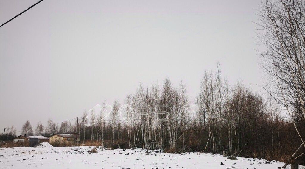 земля г Тюмень р-н Центральный СОСН Березка-3 тер., ул. 15-я фото 3