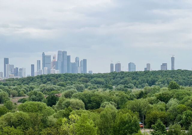 ул Нижние Мнёвники 9 муниципальный округ Хорошёво-Мнёвники фото