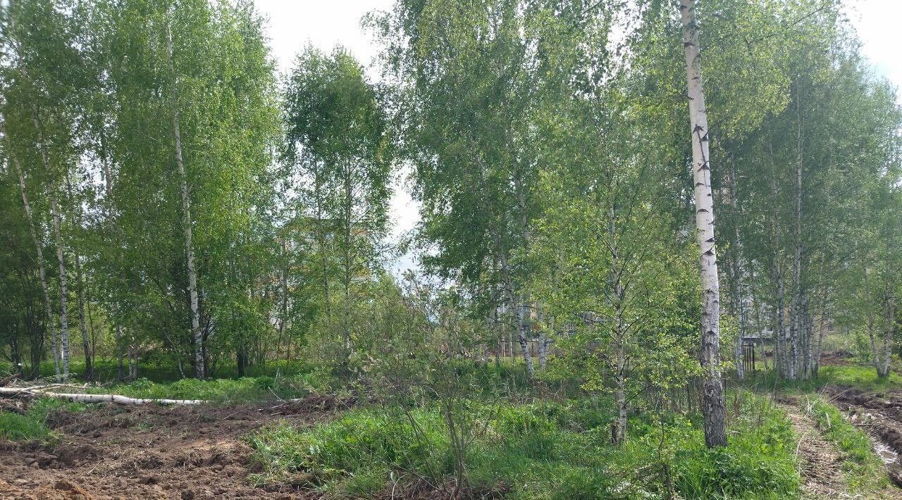 земля г Владимир р-н Ленинский проезд Родионовский, 11 фото 3