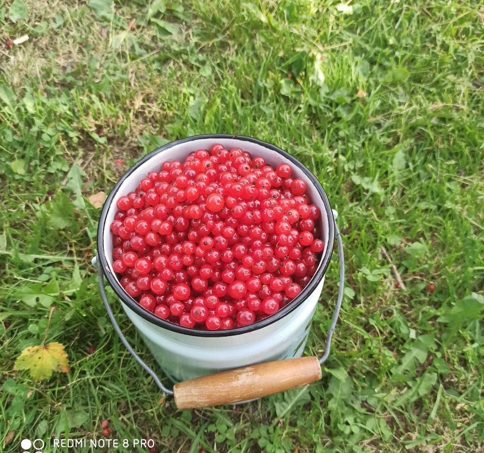 дом г Сыктывкар пгт Верхняя Максаковка территория Максаковское, СНТ Дорожник, 138 фото 21