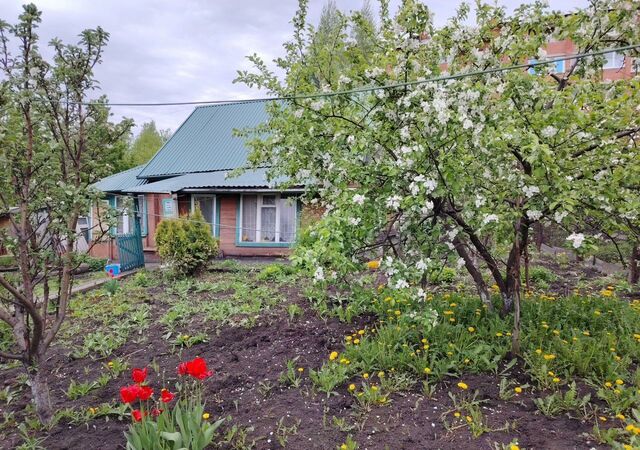 ул Молодежная Кемеровская обл. — Кузбасс, Полысаево фото