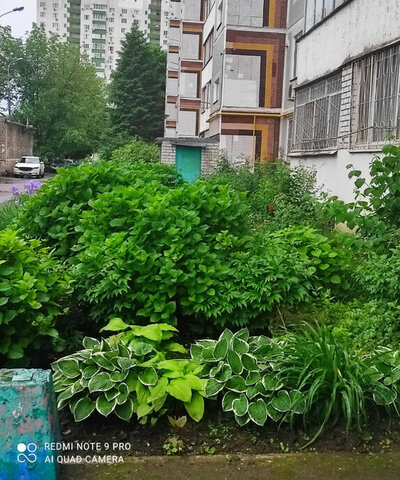 квартира дом 201 фото