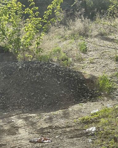 ул Ярдовая Благовещенск фото