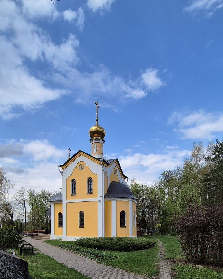 земля г Щёлково снт Утро 31 км, 216, Черноголовка, Щёлковское шоссе фото 10