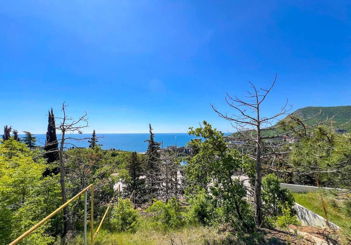 земля г Алушта Профессорский Уголок фото 7