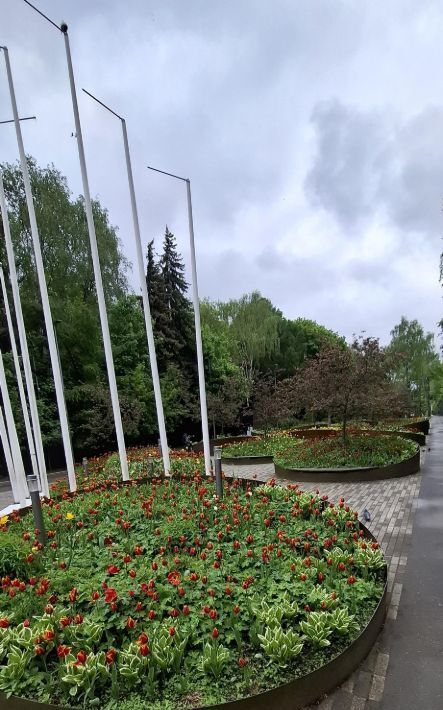 квартира г Москва метро Кузьминки ул Маршала Чуйкова 7к/6 фото 19