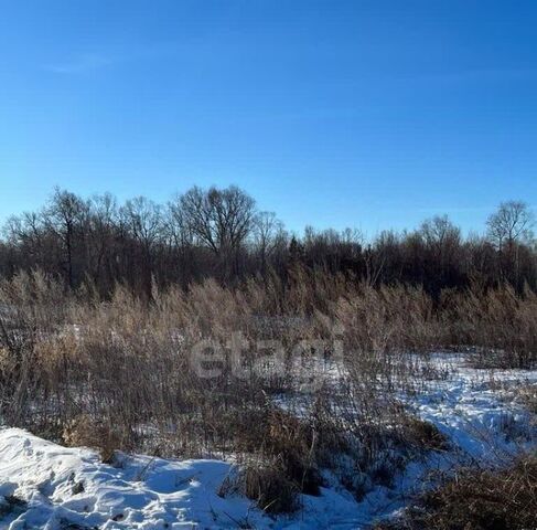 снт Подснежник Благовещенский район фото