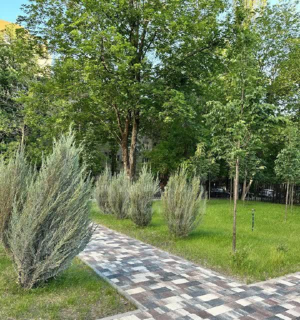квартира г Ростов-на-Дону р-н Советский Западный пр-кт Стачки 231/2 ЖК "Орион" фото 5