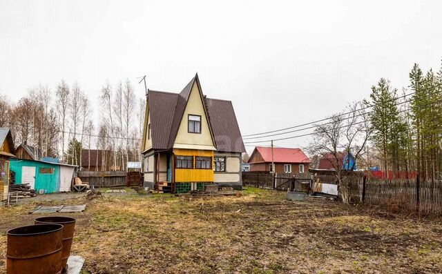 СТ № 59 Грибное, 12-я линия, Тюменская обл. фото