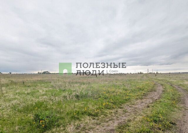 Республика Татарстан Татарстан, Поспеловское сельское поселение, Бетьки фото