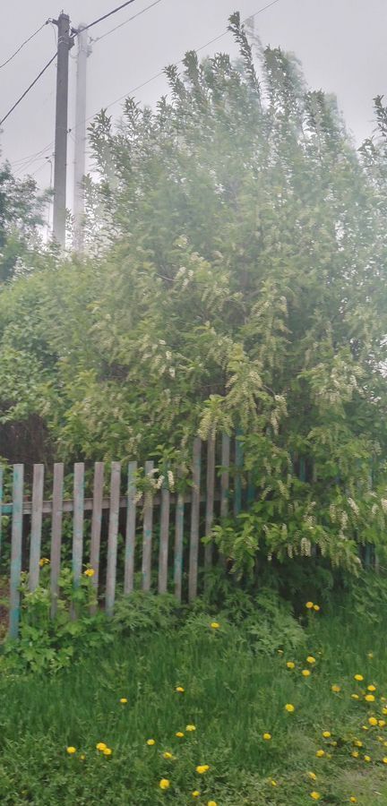 дом р-н Барабинский г Барабинск ул Челюскина 58 фото 3
