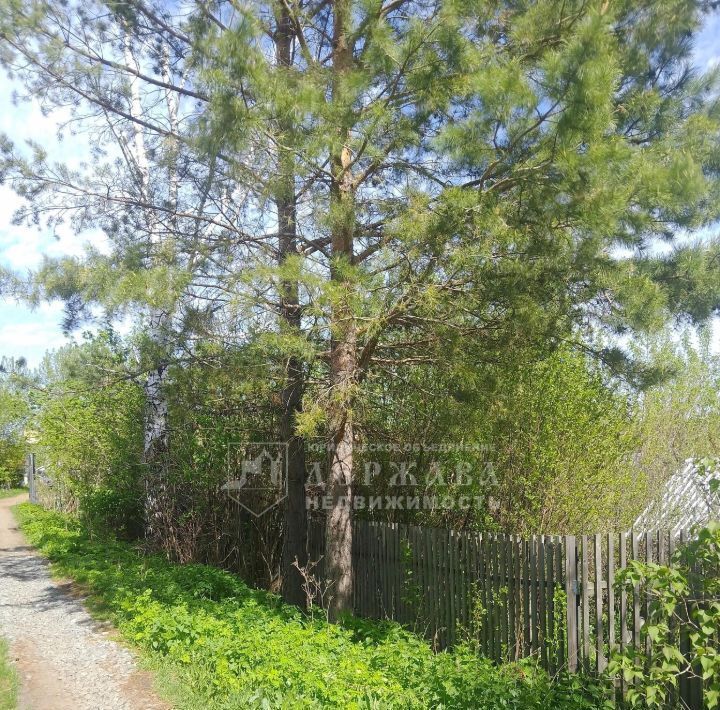 земля г Кемерово р-н Заводский снт Медик фото 14