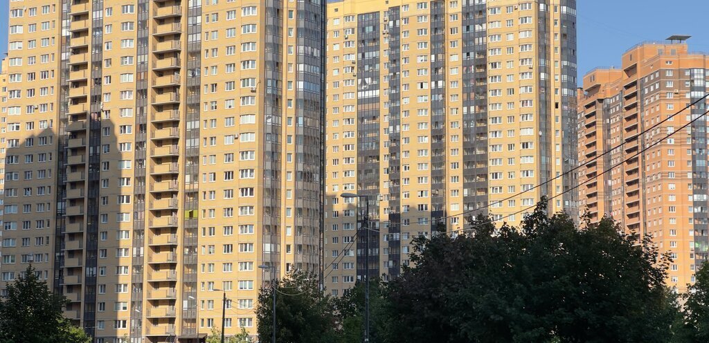квартира г Санкт-Петербург п Парголово ул Фёдора Абрамова 23к/1 ЖК «Северная Долина» метро Парнас фото 11
