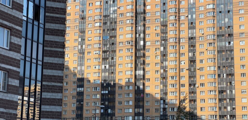 квартира г Санкт-Петербург п Парголово ул Фёдора Абрамова 23к/1 ЖК «Северная Долина» метро Парнас фото 13