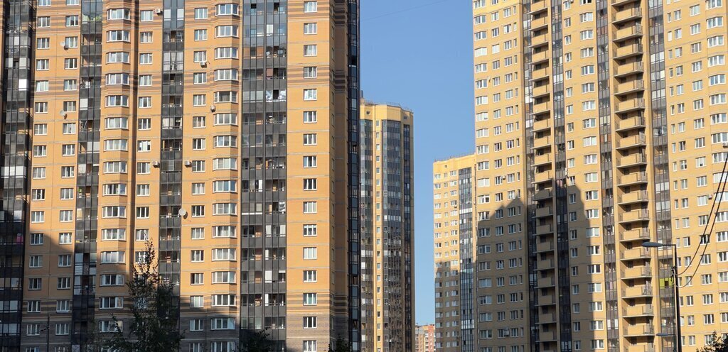 квартира г Санкт-Петербург п Парголово ул Фёдора Абрамова 23к/1 ЖК «Северная Долина» метро Парнас фото 12
