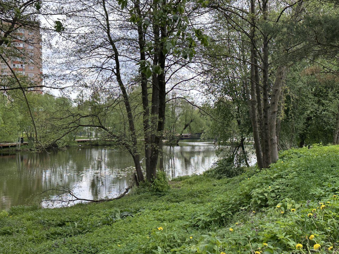земля г Лосино-Петровский рп Свердловский ул Парковая 18 фото 4