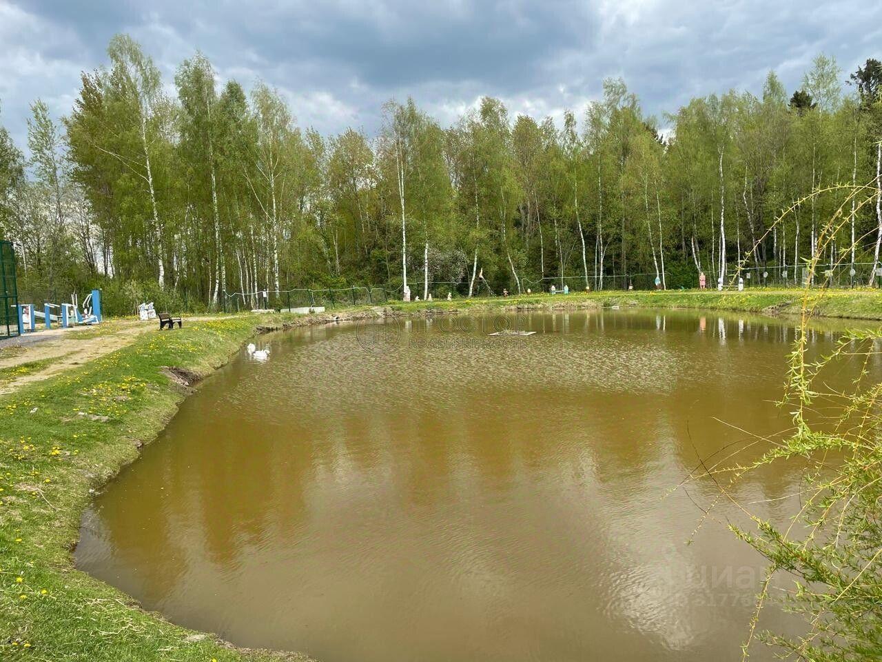 земля г Истра Лисички дп, 99 фото 8