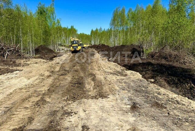земля территория СОСН Березовое Озеро фото