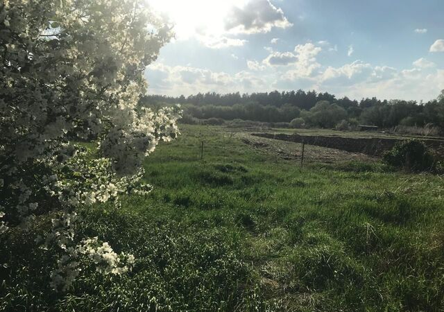 ул Центральная Кругло-Семенцовский сельсовет, Новоегорьевское фото