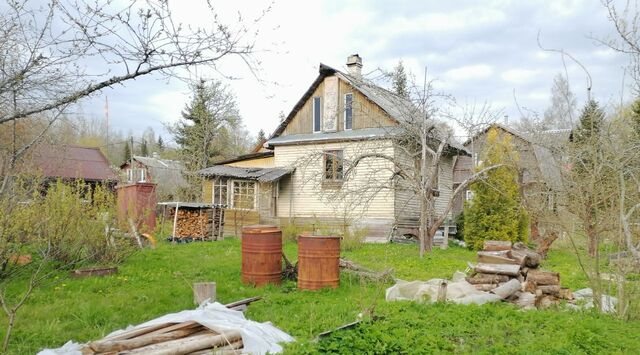 снт Нева Строганово садоводческий массив фото