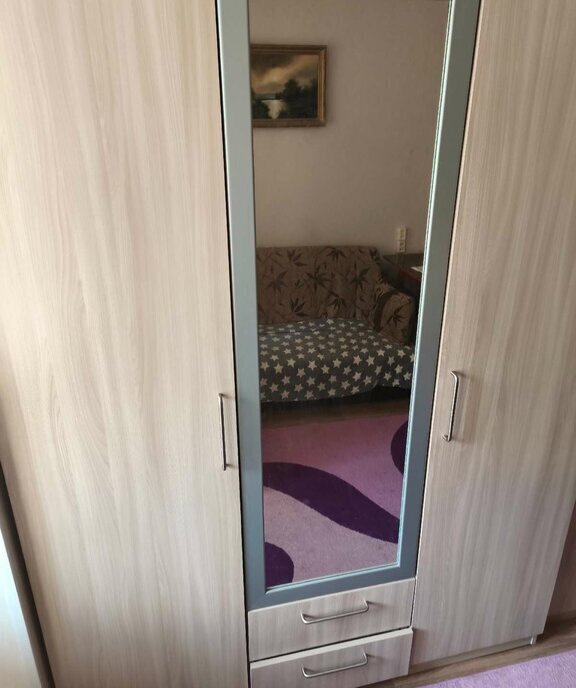 квартира г Великий Новгород ул Державина 8к/1 фото 10
