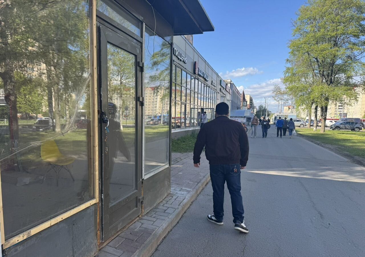 торговое помещение г Санкт-Петербург метро Проспект Просвещения пр-кт Художников 26к/3 округ Сергиевское фото 4