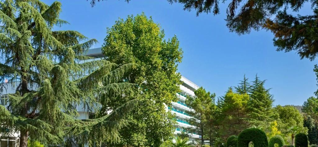 комната г Сочи р-н Адлерский Адлер Чкаловский жилрайон фото 15