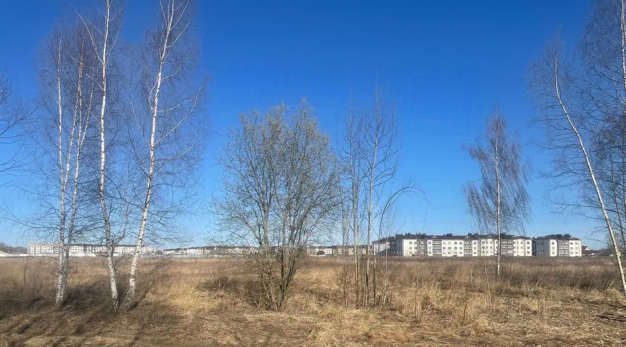 земля г Муром ул Зарубина фото 2
