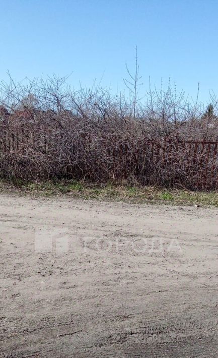 земля г Барнаул снт Автокомбинат 183 фото 4
