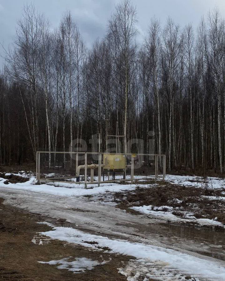 земля г Бор д. Пикино фото 6