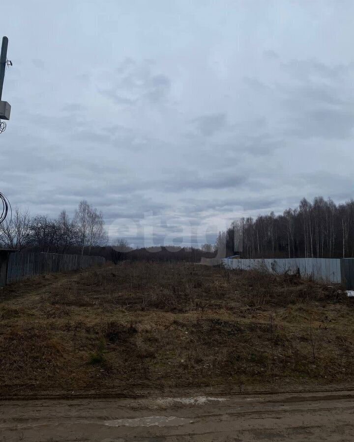 земля г Бор д. Пикино фото 7