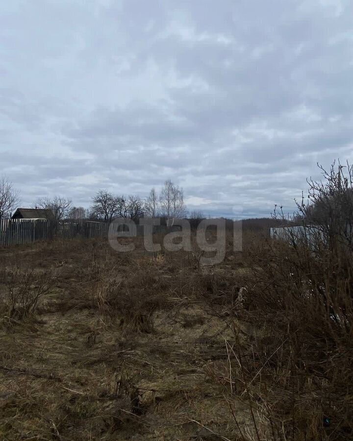 земля г Бор д. Пикино фото 13