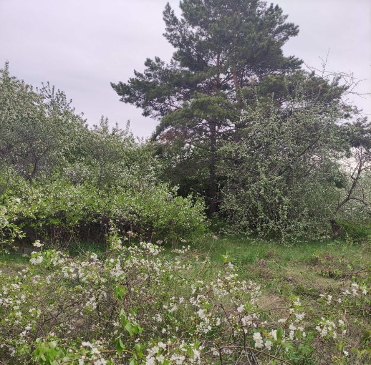 земля г Омск р-н Центральный СОСН Связист-3 тер., аллея 8-я, 409 фото 10