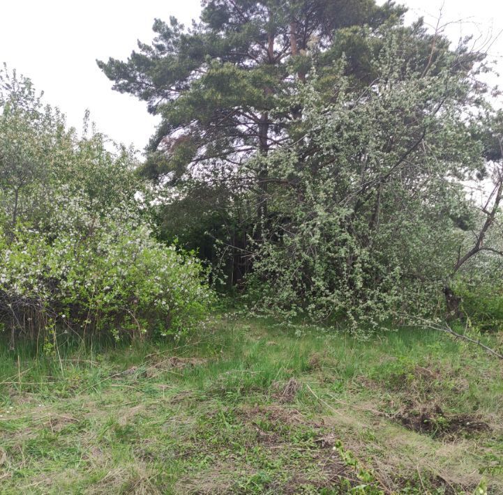 земля г Омск р-н Центральный СОСН Связист-3 тер., аллея 8-я, 409 фото 11